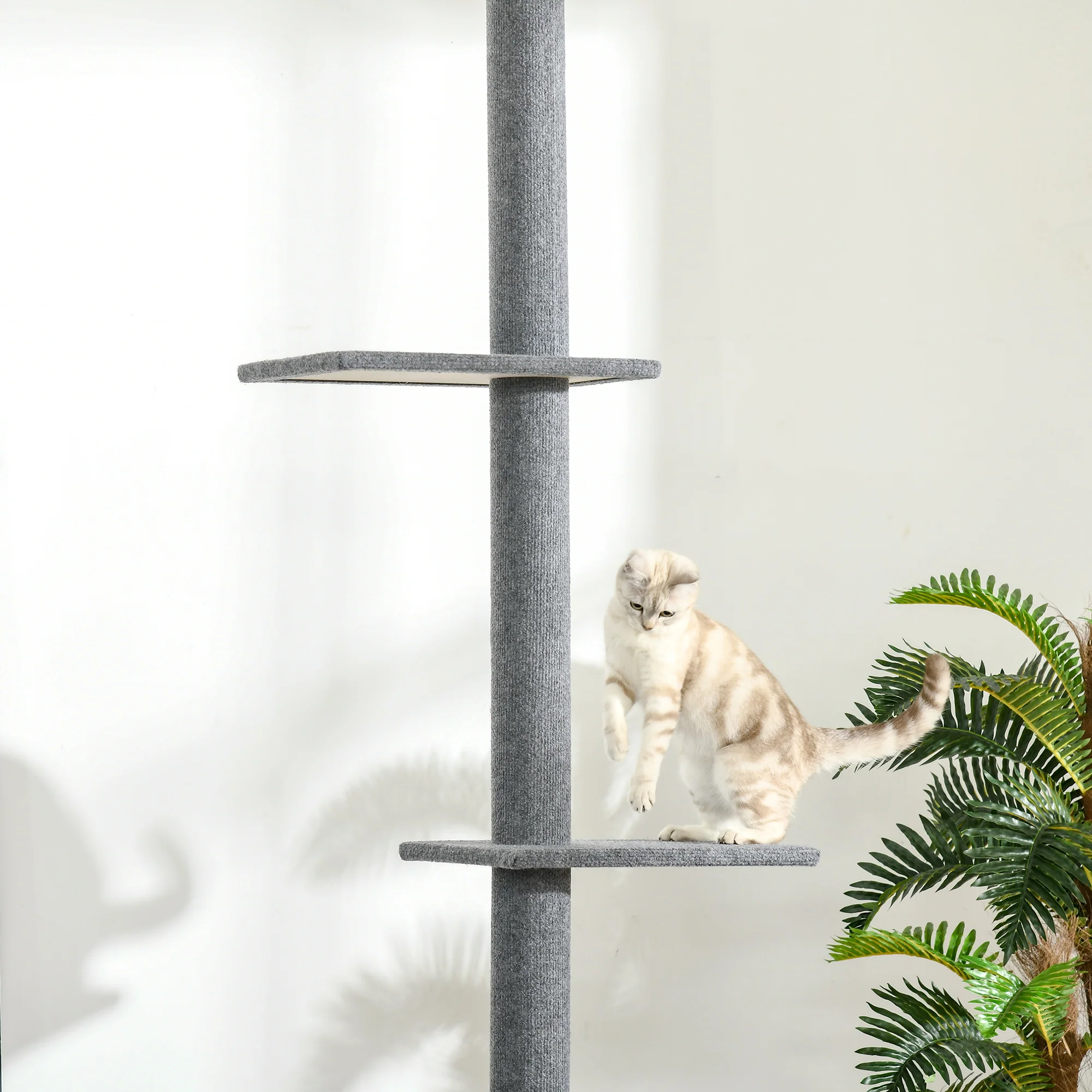 Cat Tree, Height-Adjustable Ceiling-High Climbing, Gray - Image 7