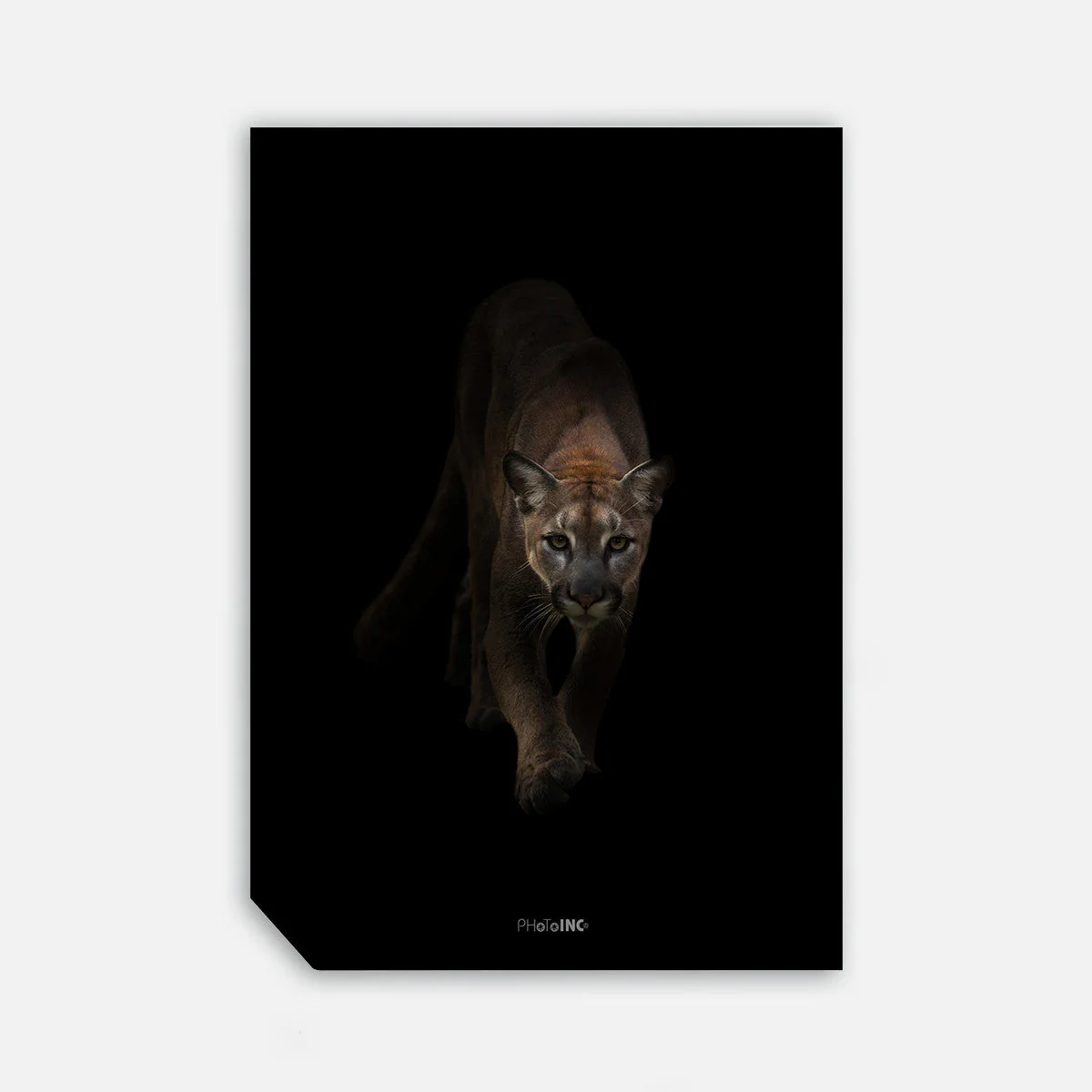 I'm Coming, 50cmx70cm wall art