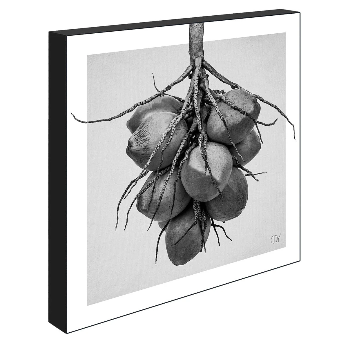 Kokos, 21cmx21cm art block - Image 2