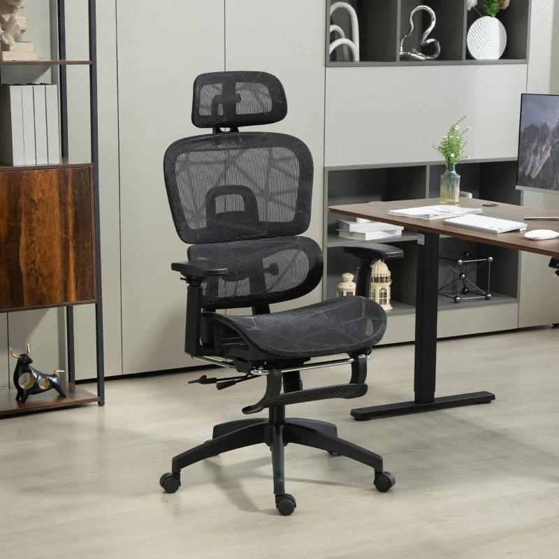 Office Chair, Multi-Adjustable Ergonomic Mesh - Black