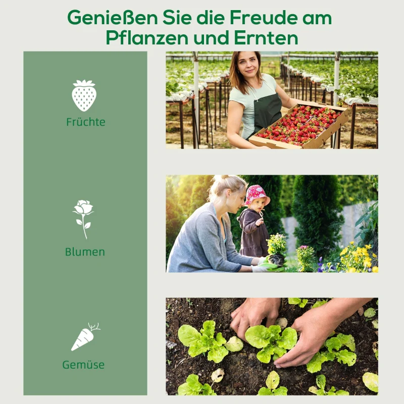 Plastic Greenhouse, 4-Shelf Cold Frame, Transparent - Image 6